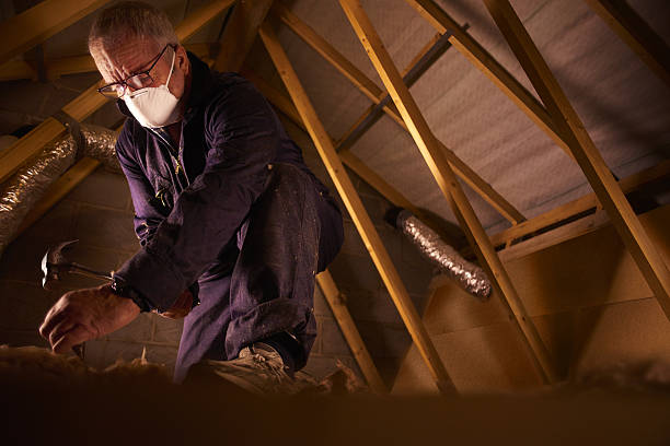 Best Insulation Contractors for Homes  in Swansea, IL