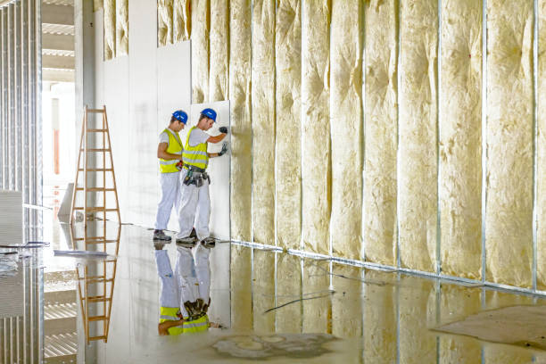 Best Insulation Removal  in Swansea, IL